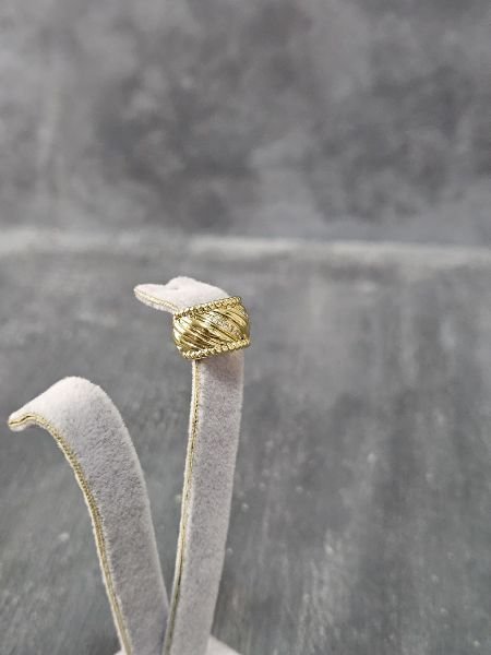 Ring Kıkırdak Küpe